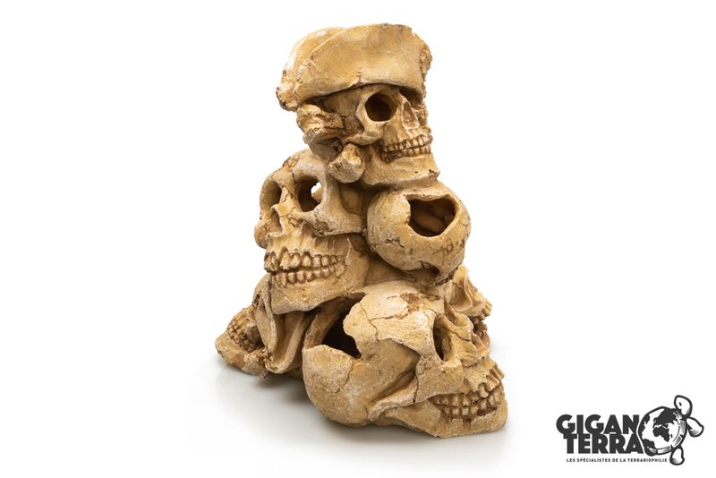 Montagne de skull human 25x21x27,7cm