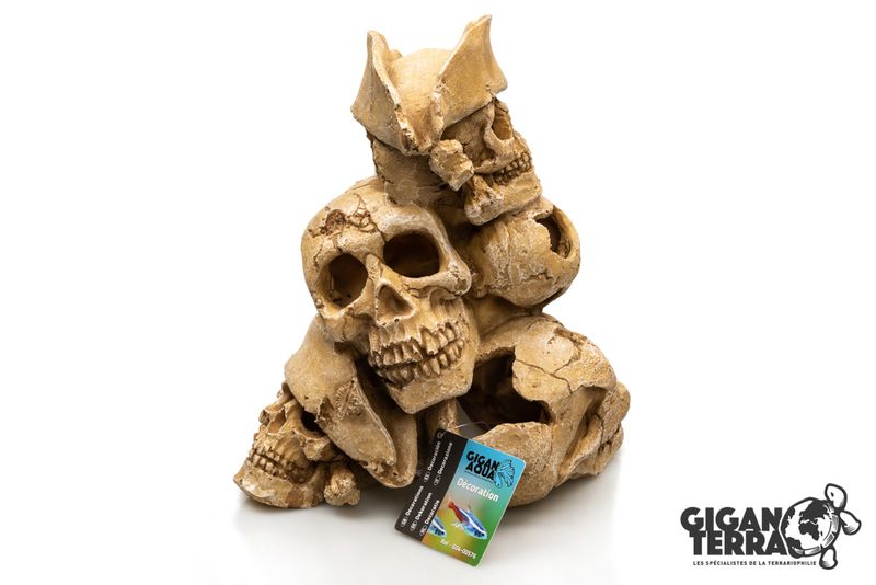 Montagne de skull human 25x21x27,7cm