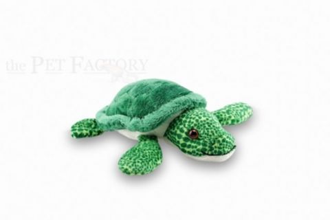 Hovedbilde Vannskilpadde