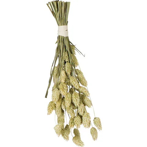 Hovedbilde Jr farm kanarifr&oslash; i bunt