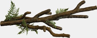 Hovedbilde REPTO DECO BRANCH L 47x18x16cm