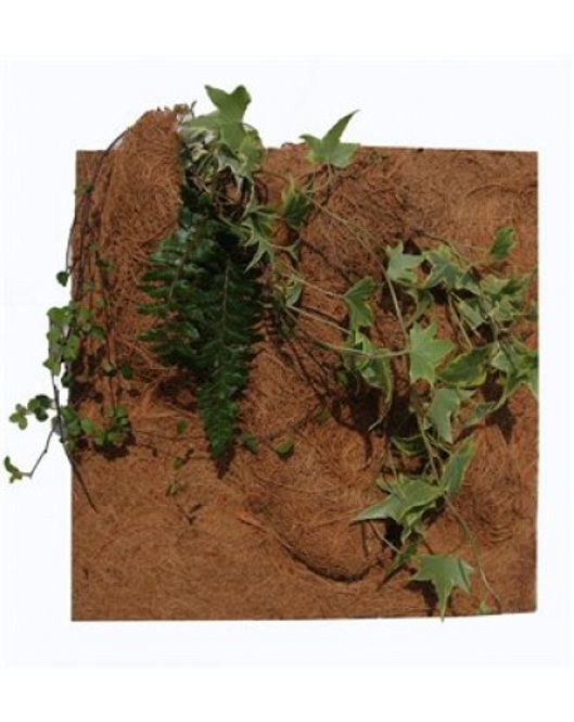 Hovedbilde PLANTING  BACKGROUND 30x30 CM