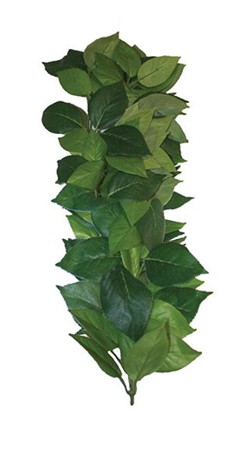 Hovedbilde Ficus silk medium