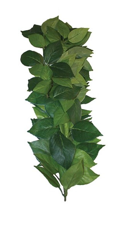 Ficus silk medium