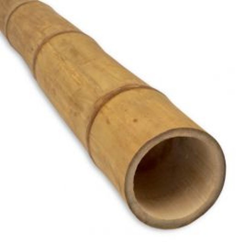 Bambus rør  80-90mm ca 1m