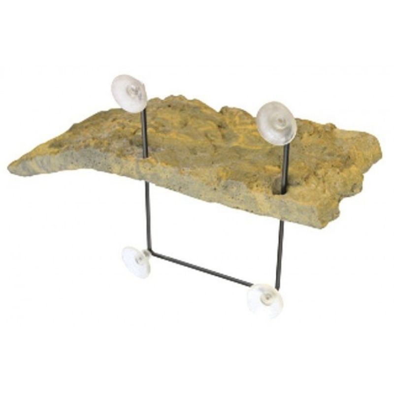 Zoomed Turtle Dock medium