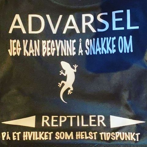 Hovedbilde ADVARSEL T-skjorte XL