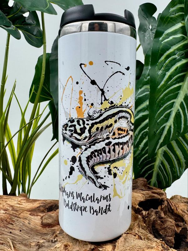 TERMOKOPP LEOPARDGEKKO BOLDSTRIPE BANDIT / EUBLEPHARIS MACULARIU