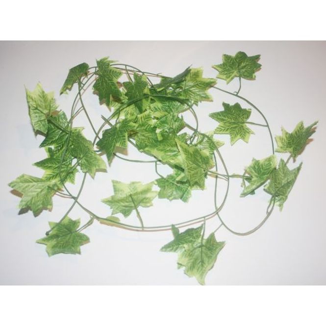 Hovedbilde Peru Jungel vine