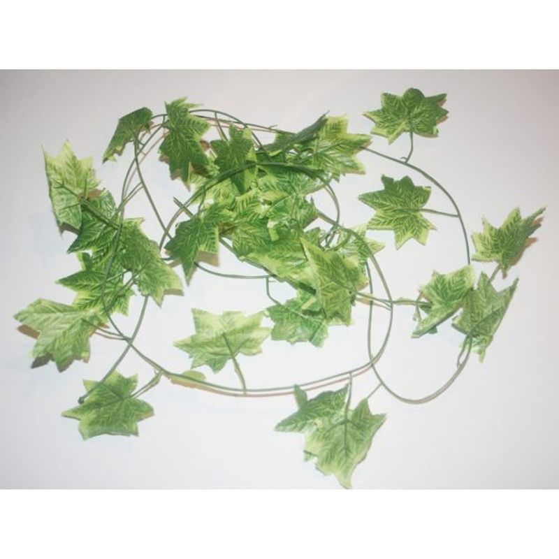 Peru Jungel vine