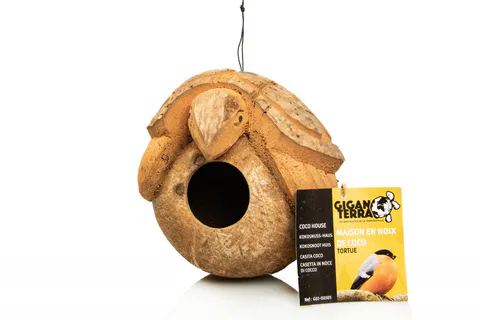 Hovedbilde kokosn&oslash;tt m/skilpadde 20x18x17cm