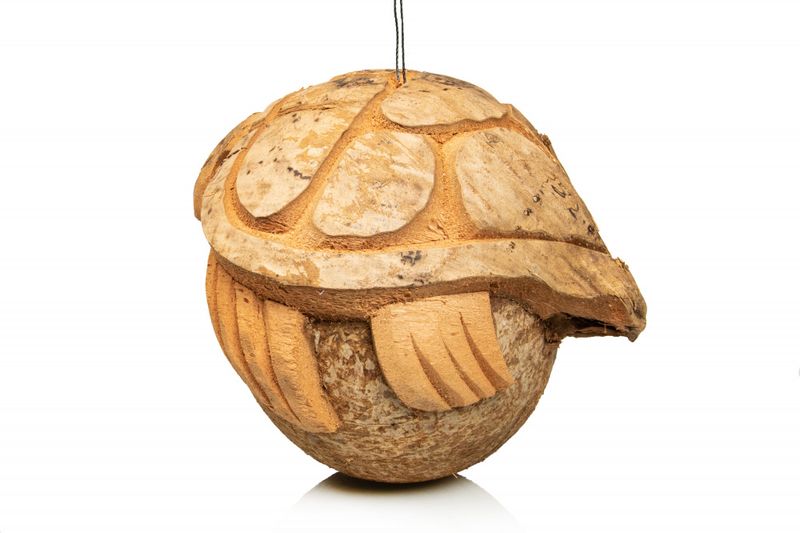 kokosnøtt m/skilpadde 20x18x17cm