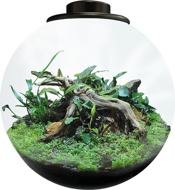 BIOART BOWL 225 BLACK