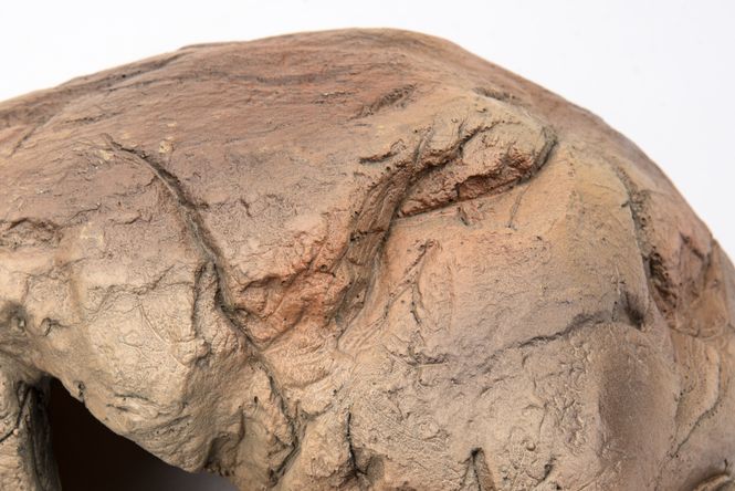 Hovedbilde Grotte rocheuse L - 00272