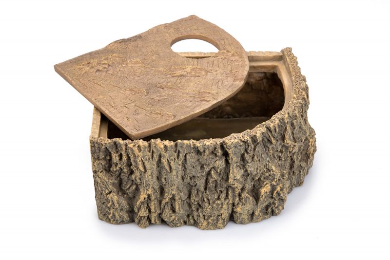 Pondoir reptile L 30cm -00281