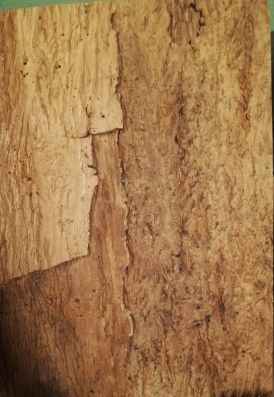 Korkplate 2pk 60x45cm Desert