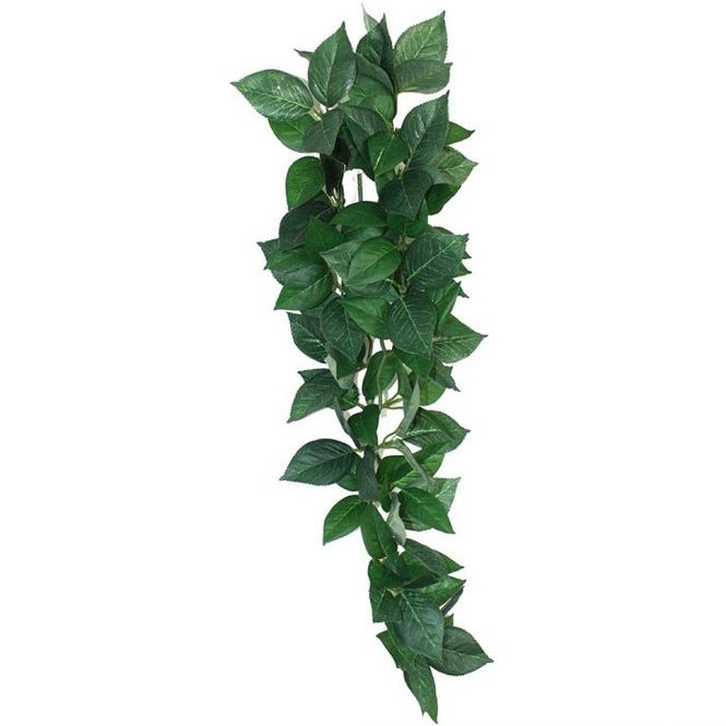 Hovedbilde Komodo Sumatra hanging plant L