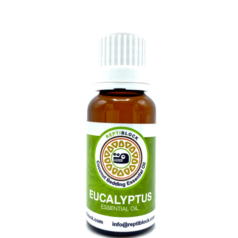 Hovedbilde Eucalyptus 20ml