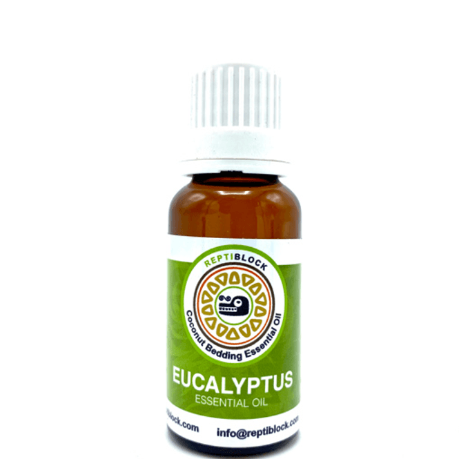 Hovedbilde Eucalyptus 20ml