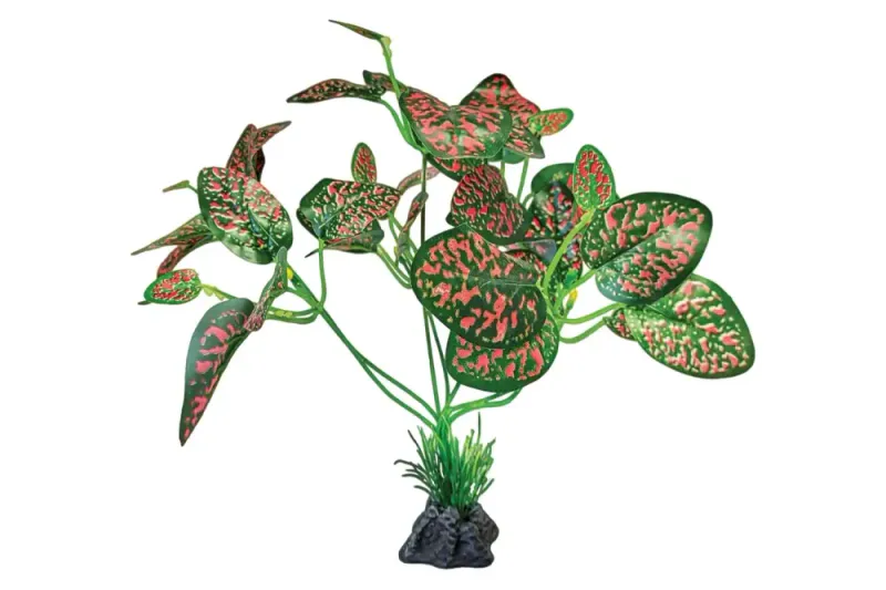 REPTO PLANT STANDING RED/GREEN 