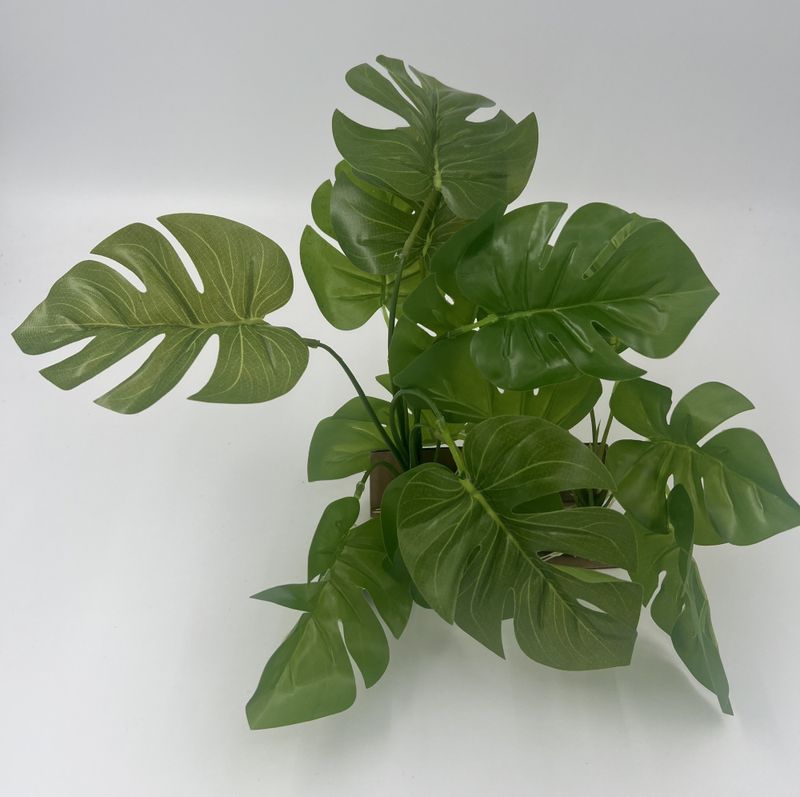Repto plant on deco three tip leaf