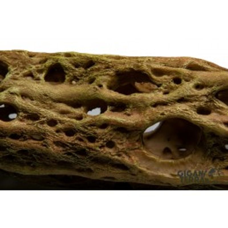 Kaktus rør L 33x10x9,5cm