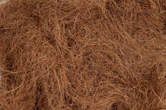 Hovedbilde Soilico Coco coir 3L