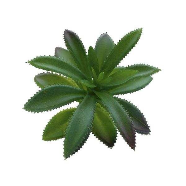 HabiStat Artificial Plant  Succulent 3 Pack