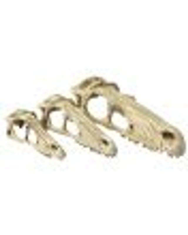 Komodo raptor skull S