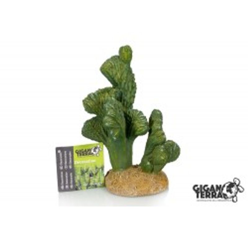 Cactus 00324- 13x11x18cm