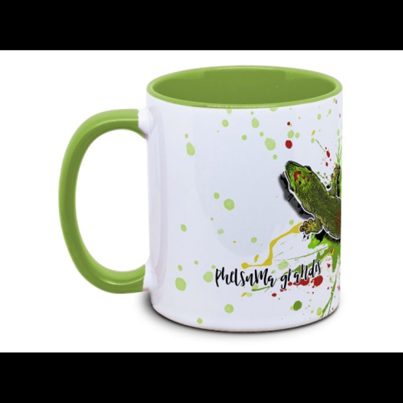 KAFFEKOPP STOR DAGGEKKO / PHELSUMA GRANDIS