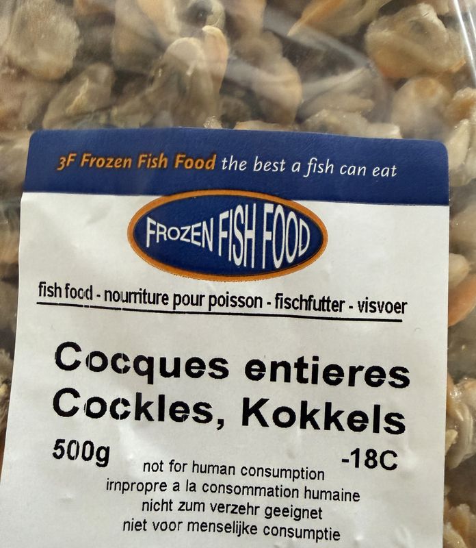 Hele hjerteskjell (Cocques entieres, Cockles, Kokkels) 1000g