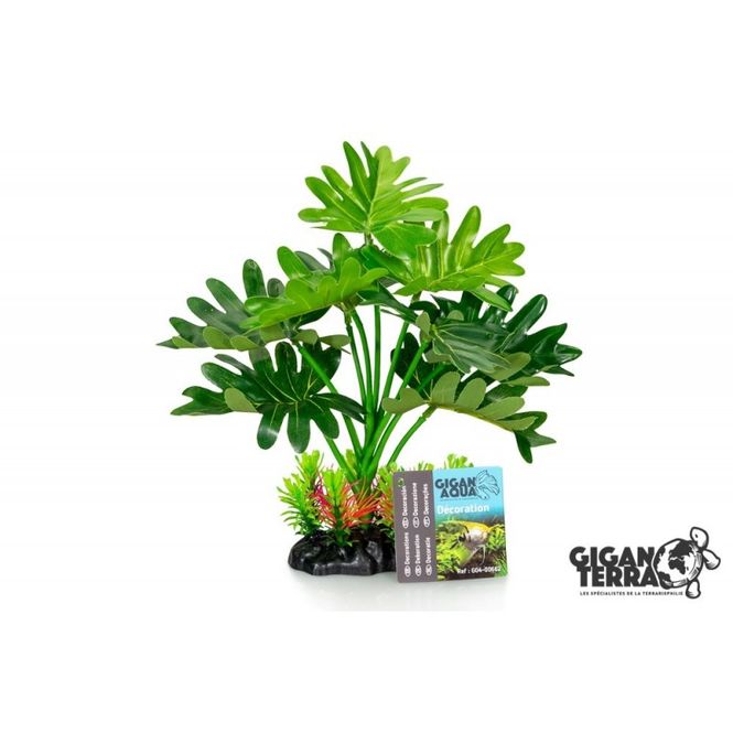 Hovedbilde Gigan plante 22cm -00662