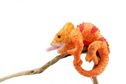 Hovedbilde Oransje kameleon