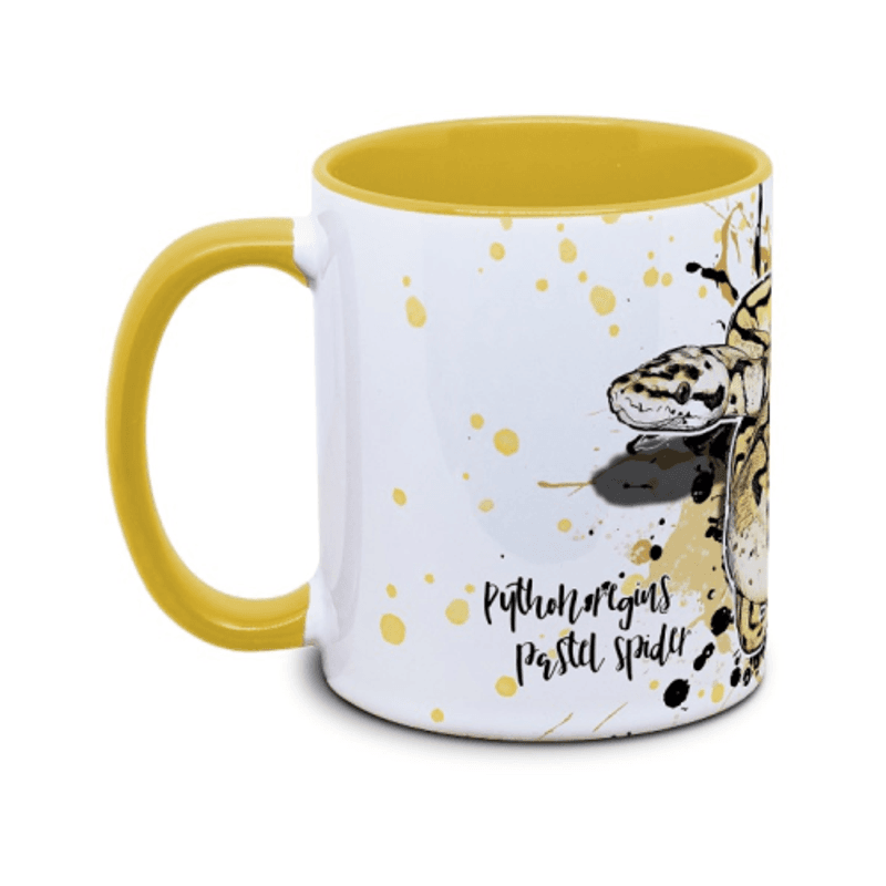 KAFFEKOPP KONGEPYTON / PYTHON REGIUS PASTEL SPIDER