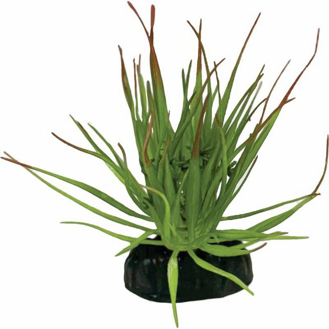 Hovedbilde REPTO PLANT TILLANDSIA ION 