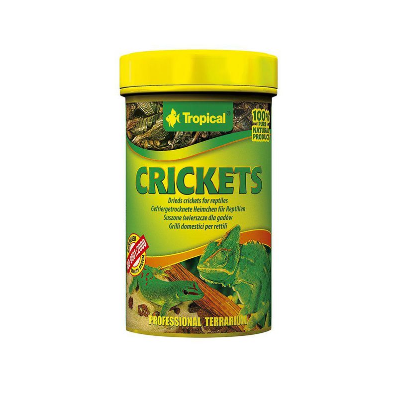 Tropical crickets 100ml