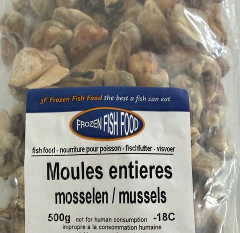 Hovedbilde Moules entieres / mosselen / mussels/ bl&aring;skjell ...