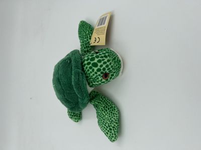 Hovedbilde Vannskilpadde