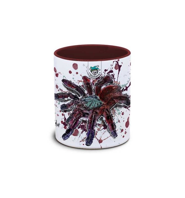 Kaffekopp tarantell Caribena versicolor