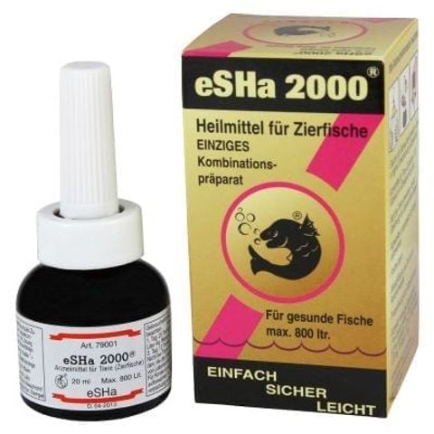 Hovedbilde eSHa 2000