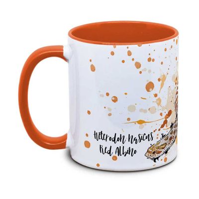 Hovedbilde KAFFEKOPP Trynesnok Albino/Heterodon nasicus