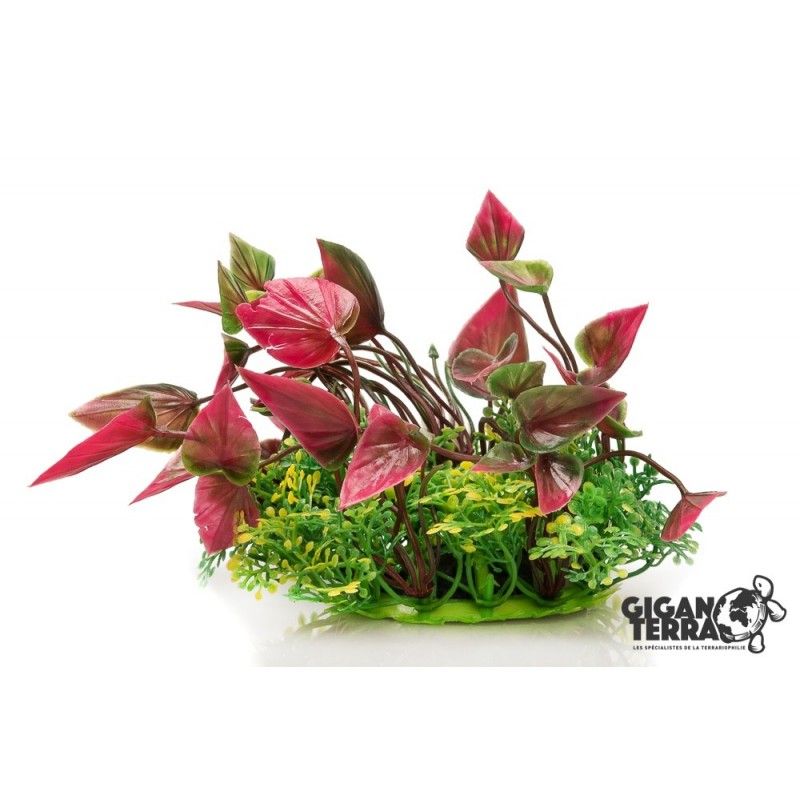 Plante sur pied 12cm vinrød - 00525