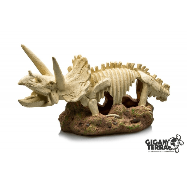 TRICERATOPS 00771 - 38 x 19 x 21cm