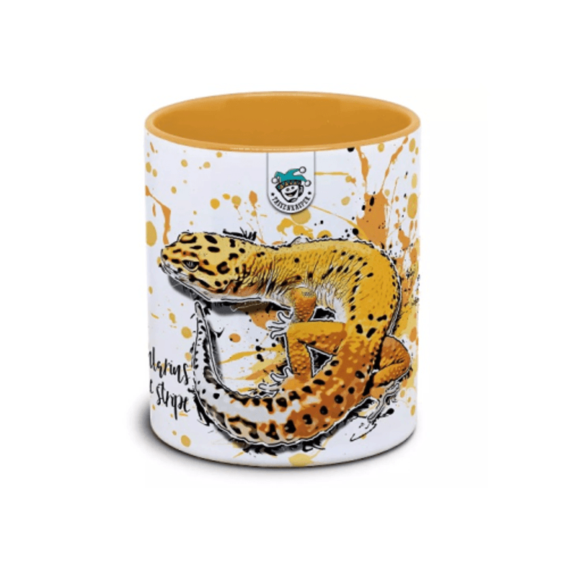 KAFFEKOPP LEOPARDGEKKO TANGERINE STRIPE / EUBLEPHARIS MACULARIUS