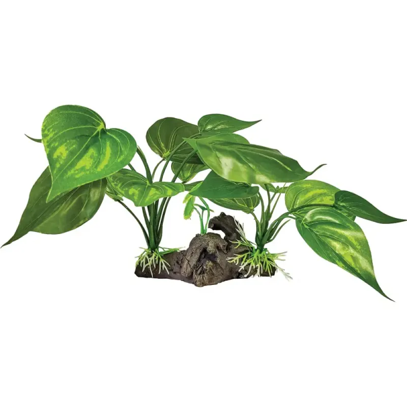 REPTO Plant on Deco Light Green
