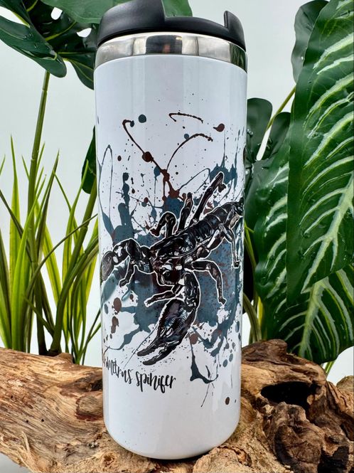 Hovedbilde TERMOKOPP SKORPION / HETEROMETRUS SPINIFER