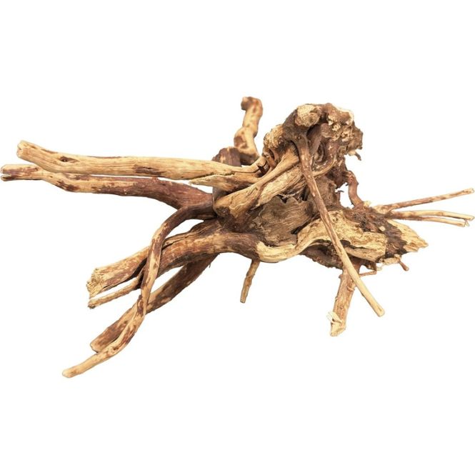 Hovedbilde BIOART SPIDER WOOD 10-15 CM