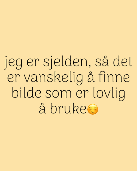 Tapinauchenius rasti CARIBBEAN DIAMOND Sub dult Hunn