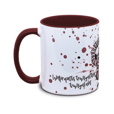 Hovedbilde KAFFEKOPP MELKESNOK / LAMPROPELTIS TRIANGULUM ...